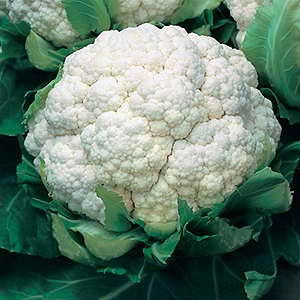 Cauliflower